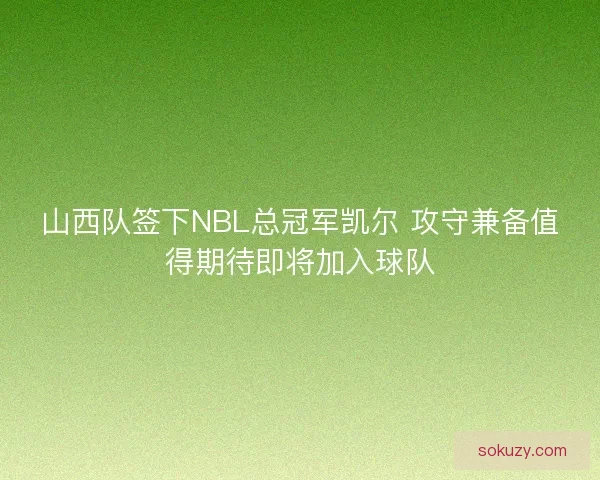 山西队签下NBL总冠军凯尔 攻守兼备值得期待即将加入球队